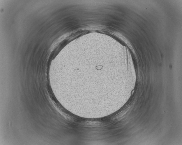 X0000064750437200603131347