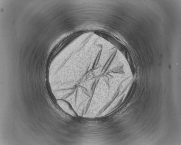 X0000064750438200603131347