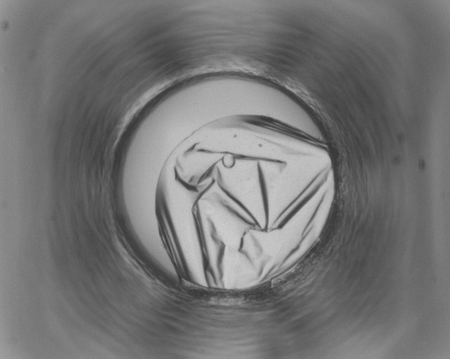 X0000064750440200603131347