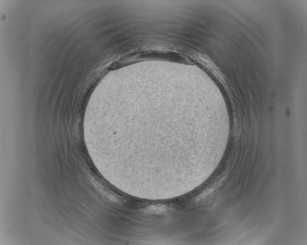 X0000064750441200603131347