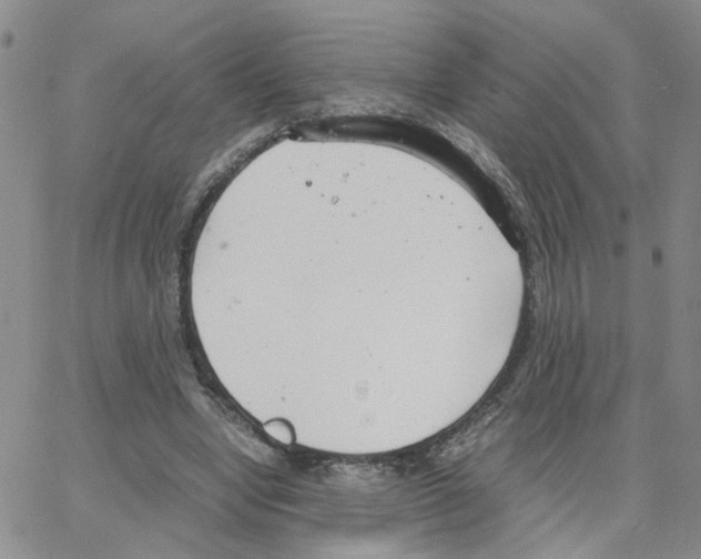 X0000064750442200603131347