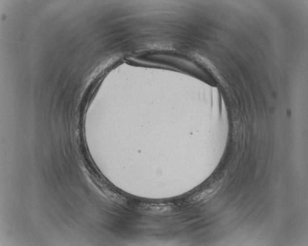 X0000064750443200603131347