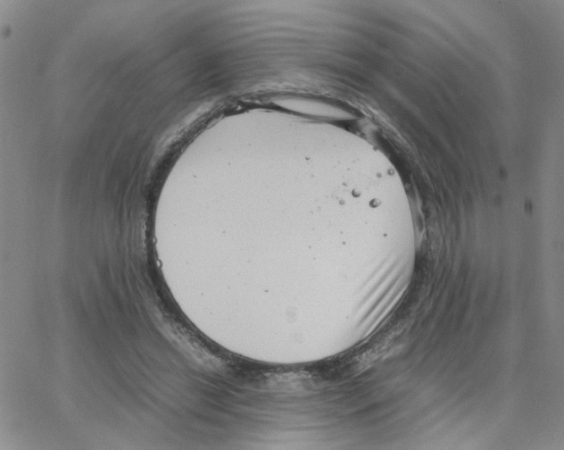 X0000064750446200603131347