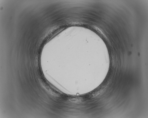 X0000064750447200603131347