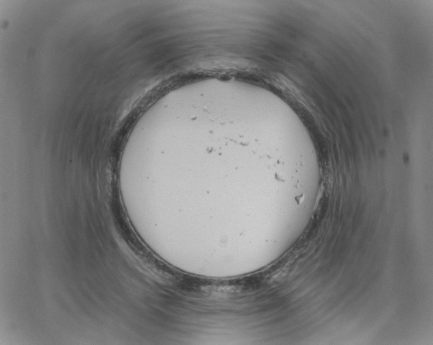 X0000064750448200603131347