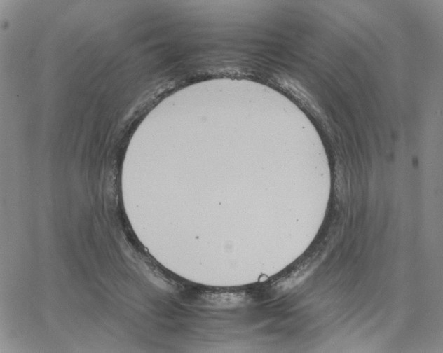 X0000064750449200603131347