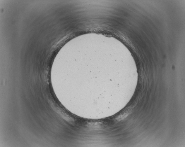 X0000064750450200603131347