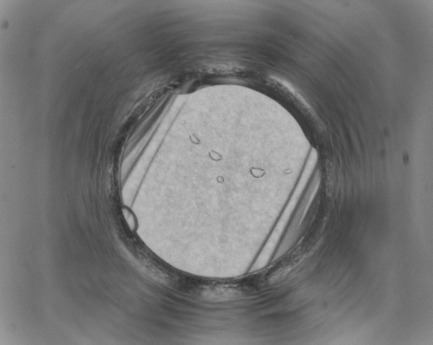 X0000064750451200603131348