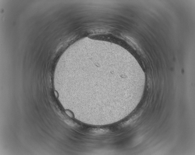 X0000064750453200603131348