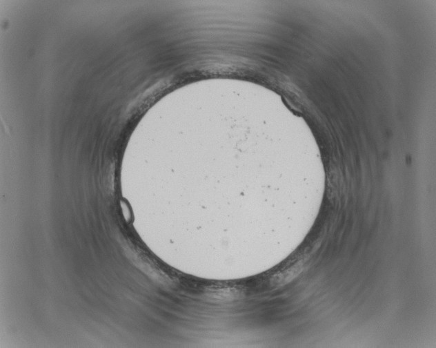 X0000064750454200603131348