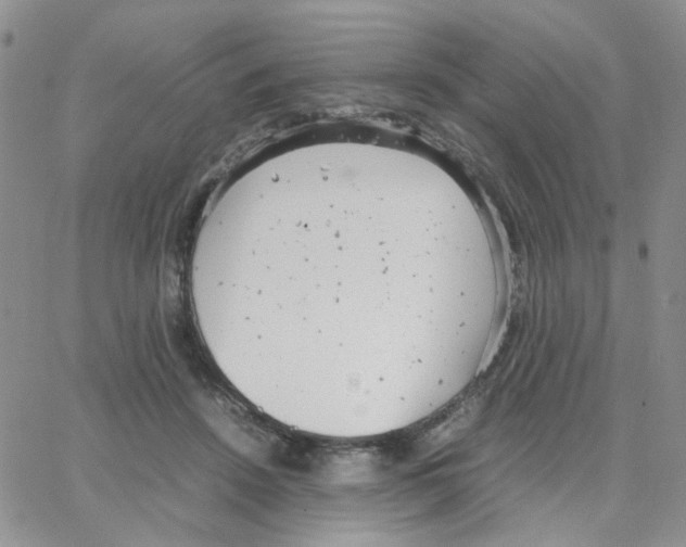 X0000064750456200603131348