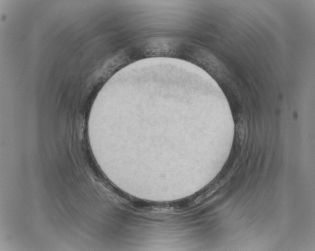 X0000064750458200603131348