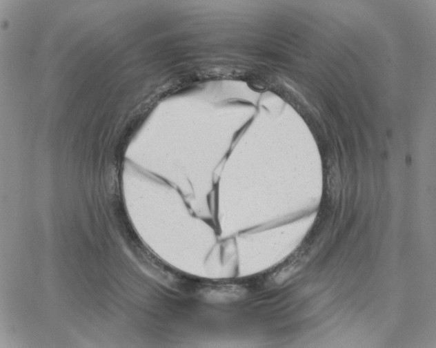 X0000064750459200603131348