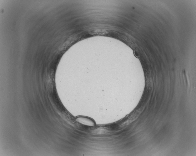 X0000064750460200603131348