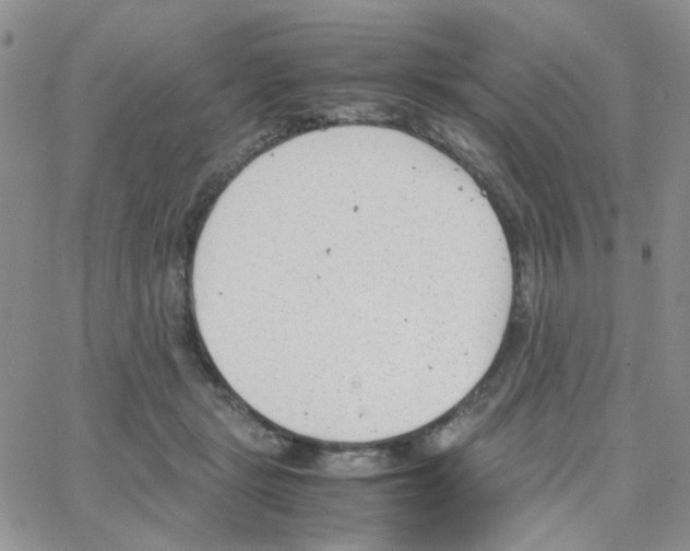 X0000064750461200603131348