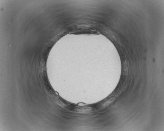 X0000064750463200603131348