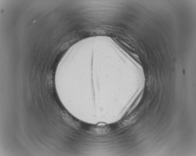 X0000064750466200603131348