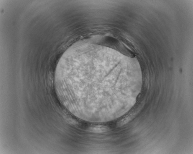 X0000064750467200603131348