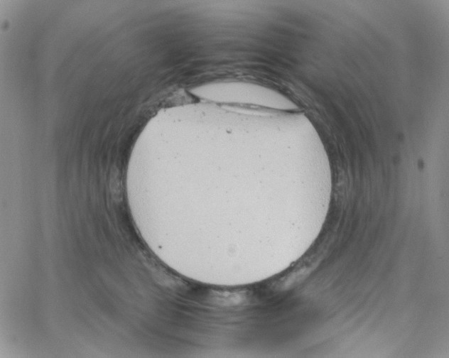 X0000064750469200603131348