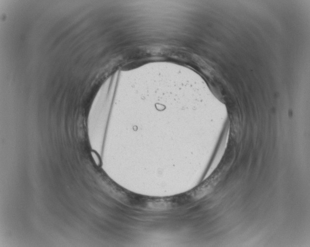 X0000064750470200603131348