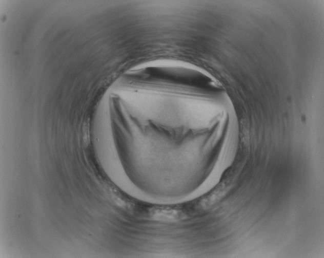 X0000064750471200603131348