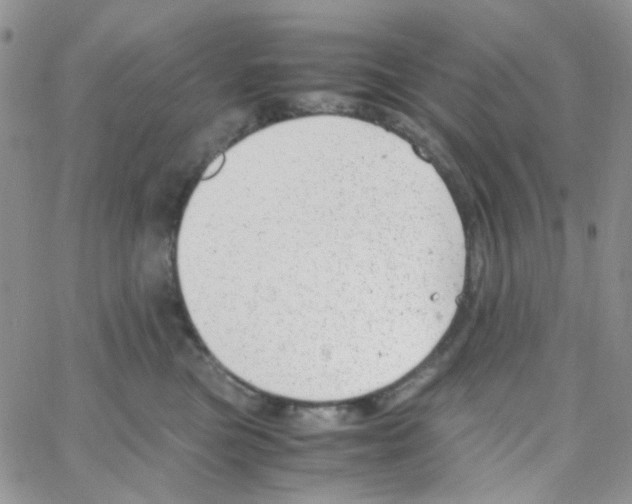 X0000064750473200603131348