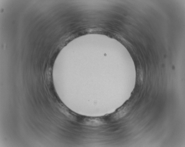 X0000064750475200603131348