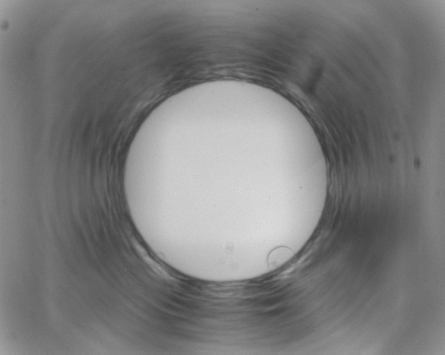 X0000064750477200603131348