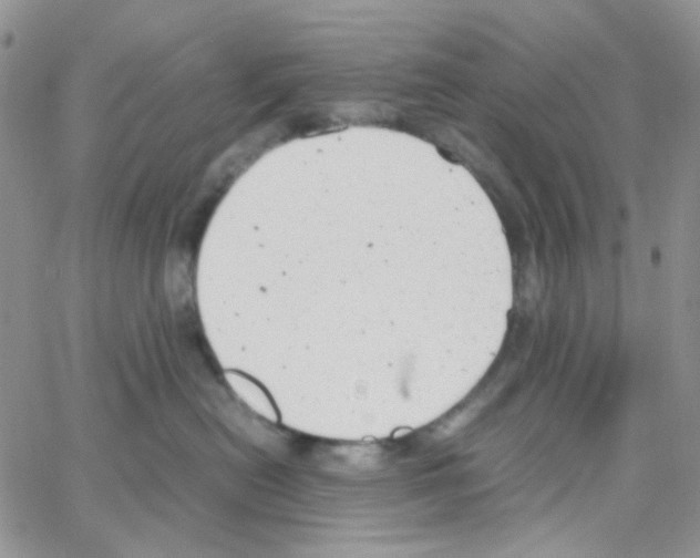 X0000064750478200603131348