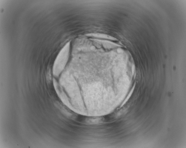 X0000064750479200603131348