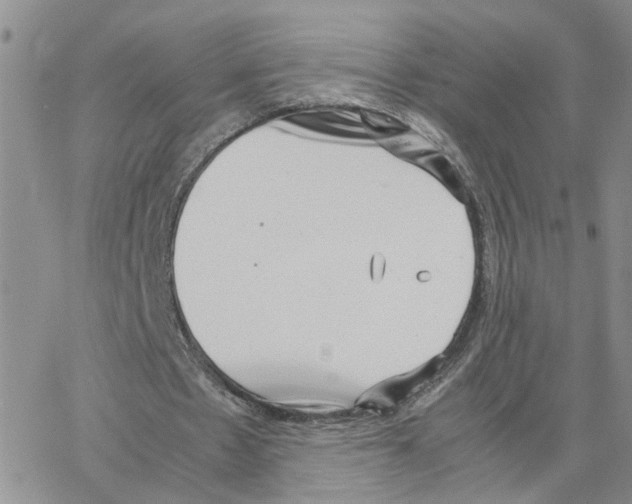 X0000064750481200603131347