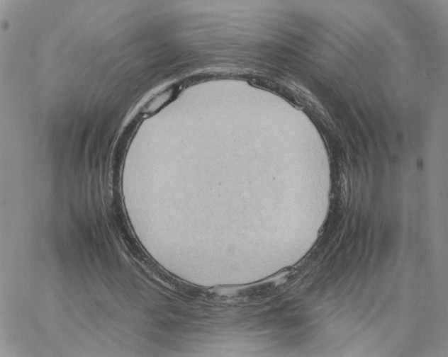 X0000064750484200603131347