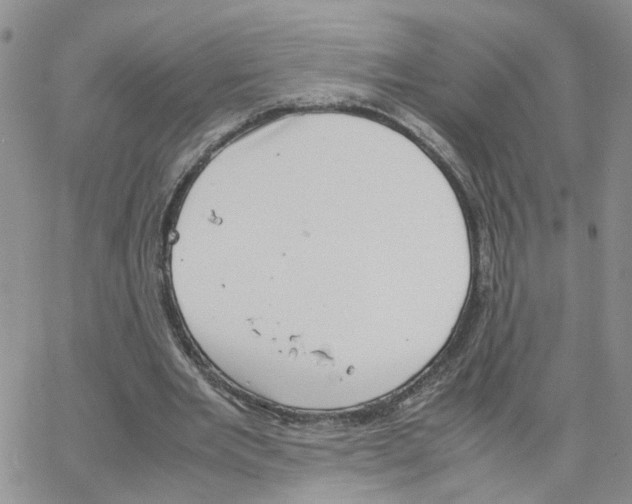 X0000064750485200603131347