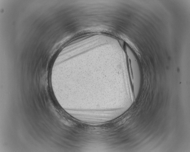 X0000064750486200603131347