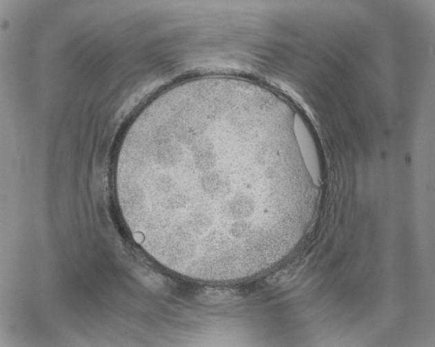 X0000064750487200603131347