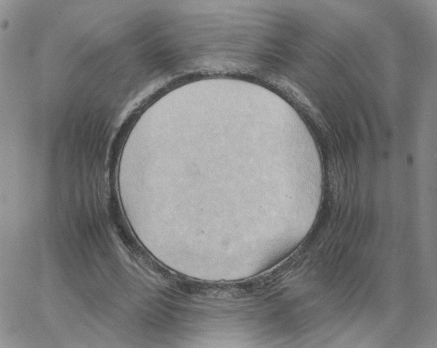 X0000064750488200603131347