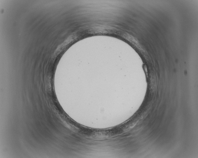 X0000064750489200603131347