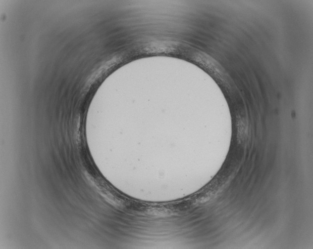 X0000064750490200603131347