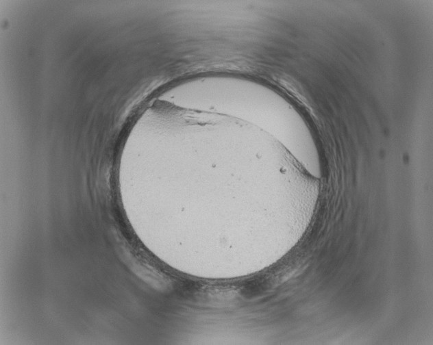 X0000064750491200603131347