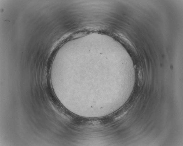 X0000064750492200603131347