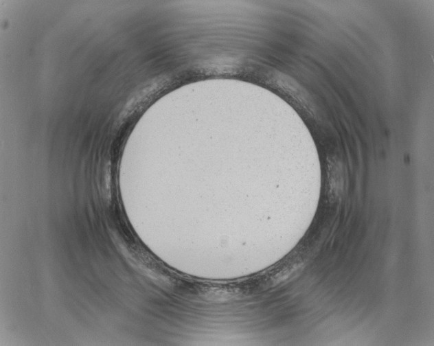 X0000064750494200603131347