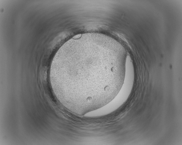 X0000064750495200603131347