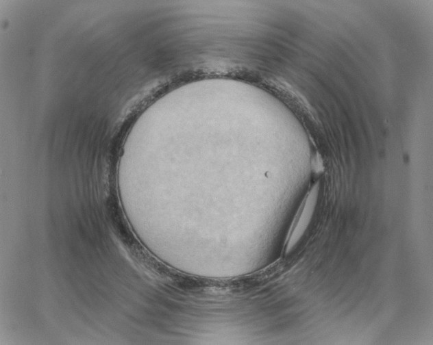 X0000064750496200603131347