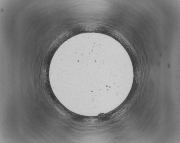 X0000064750497200603131347