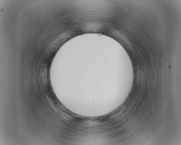 X0000064750498200603131347