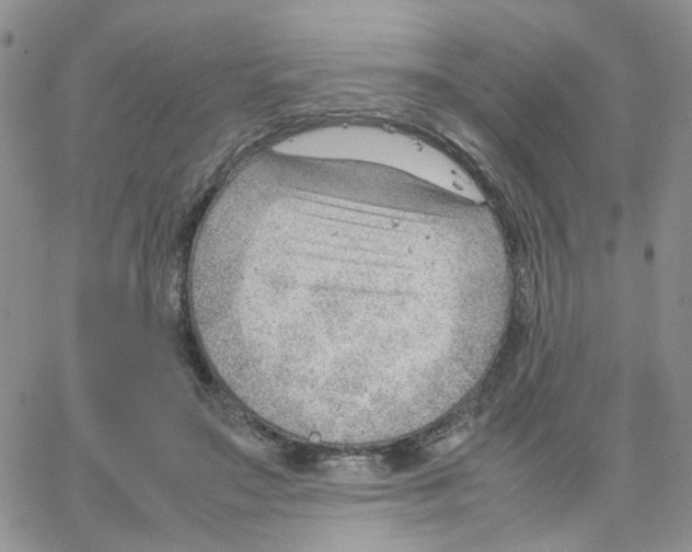 X0000064750499200603131347