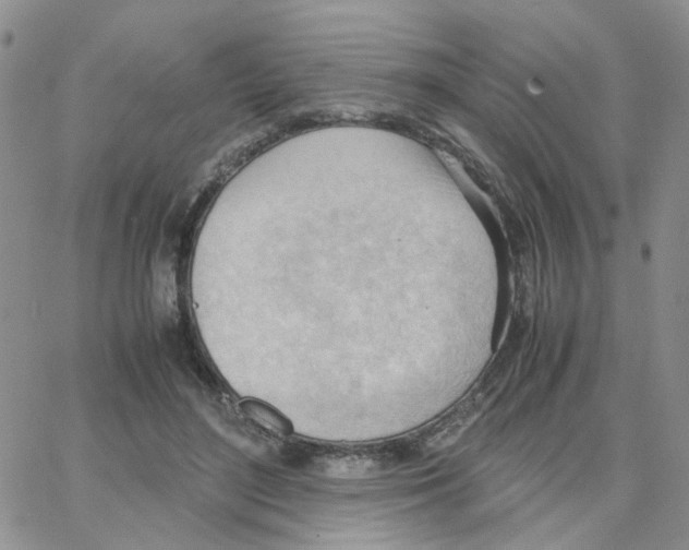 X0000064750500200603131347