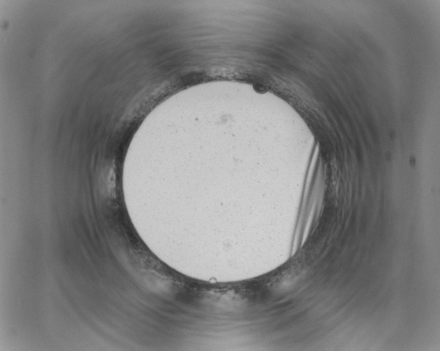 X0000064750502200603131347