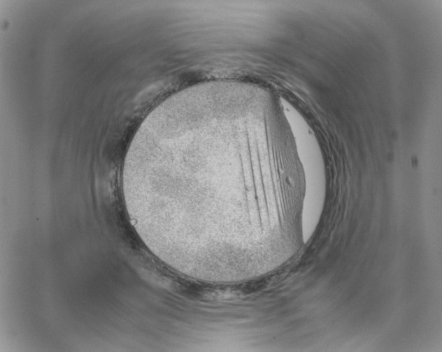 X0000064750503200603131347