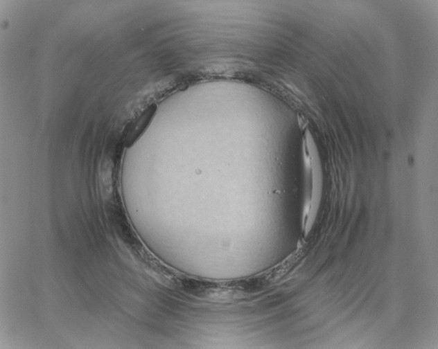 X0000064750504200603131347